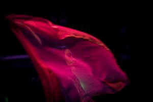1709_SnakeLadder_Fav_Hi-5335
