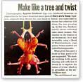 tree-and-twist-new